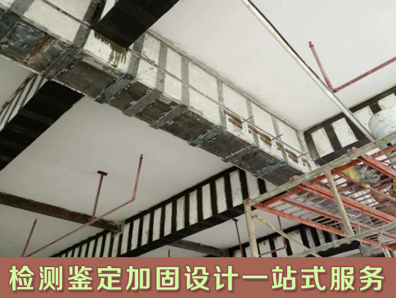 阳山县地下室结构检测鉴定技术公司