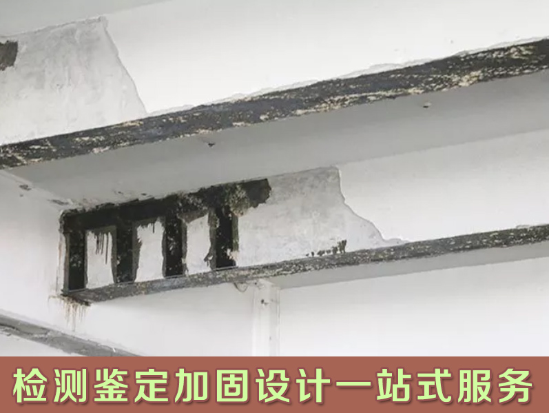 阳山县钢结构检测 钢结构安全检测单位